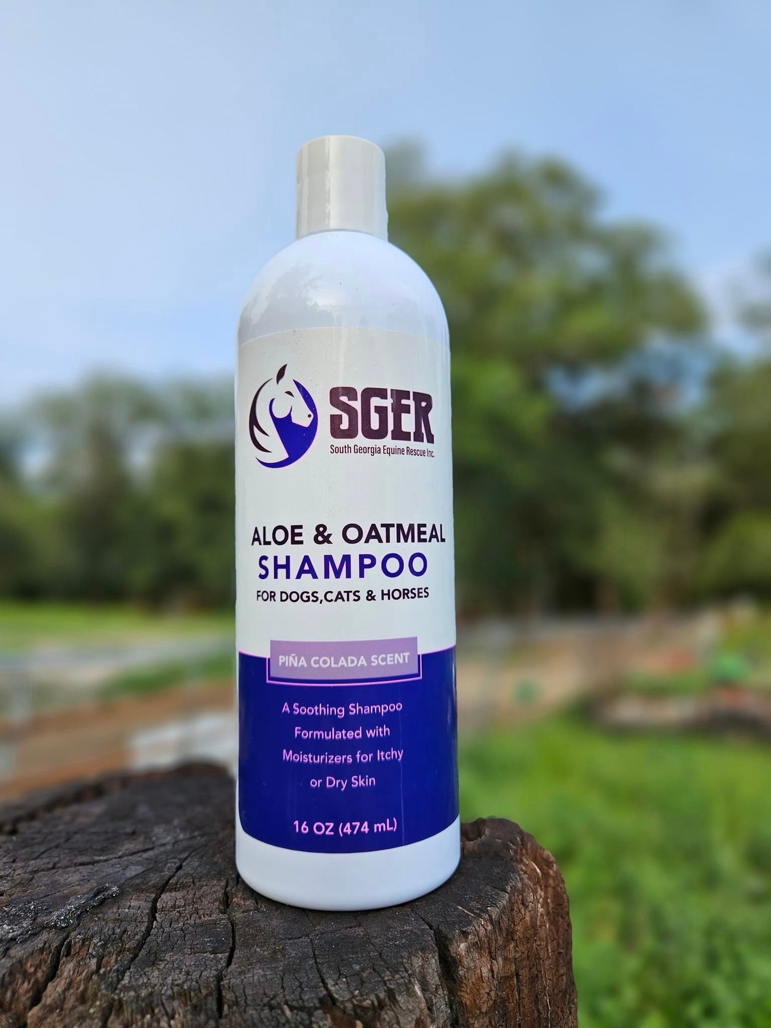 Aloe and oatmeal clearance shampoo